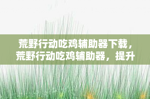 荒野行动吃鸡辅助器下载，荒野行动吃鸡辅助器，提升游戏体验的利器