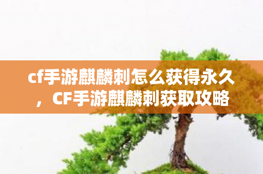 cf手游麒麟刺怎么获得永久，CF手游麒麟刺获取攻略