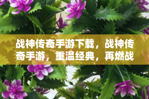 战神传奇手游下载，战神传奇手游，重温经典，再燃战火