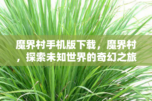 魔界村手机版下载，魔界村，探索未知世界的奇幻之旅