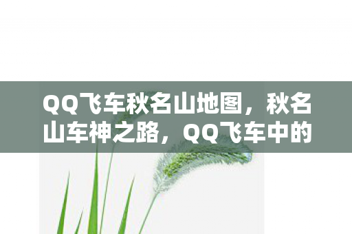 QQ飞车秋名山地图，秋名山车神之路，QQ飞车中的速度与激情