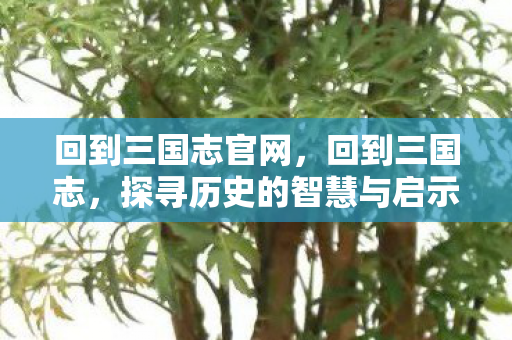 回到三国志官网，回到三国志，探寻历史的智慧与启示