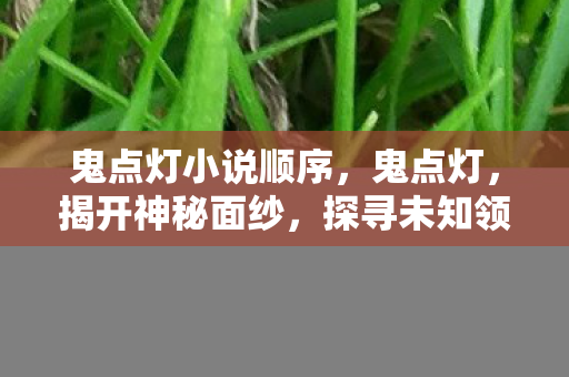 鬼点灯小说顺序，鬼点灯，揭开神秘面纱，探寻未知领域的奇幻之旅