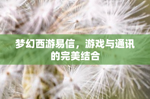 梦幻西游易信，游戏与通讯的完美结合
