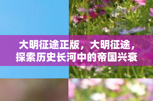大明征途正版，大明征途，探索历史长河中的帝国兴衰