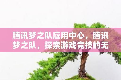 腾讯梦之队应用中心，腾讯梦之队，探索游戏竞技的无限可能