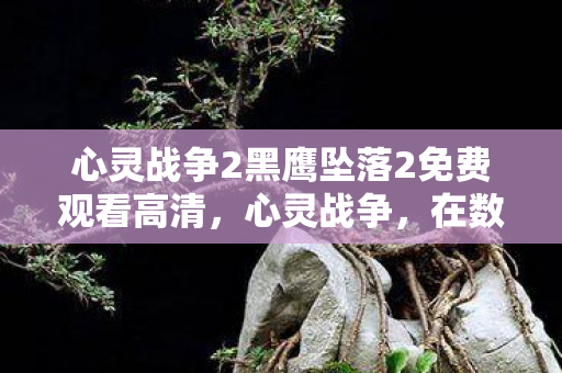 心灵战争2黑鹰坠落2免费观看高清，心灵战争，在数字时代中保持内心的宁静与平衡