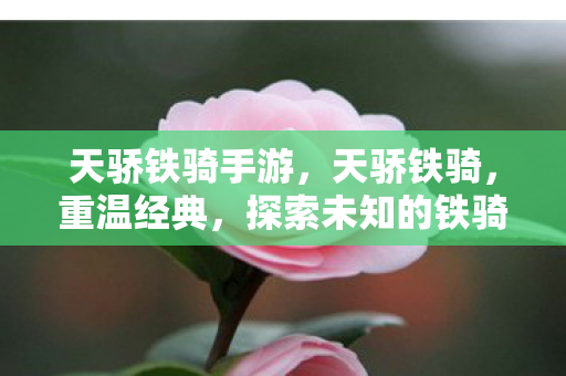 天骄铁骑手游，天骄铁骑，重温经典，探索未知的铁骑之旅