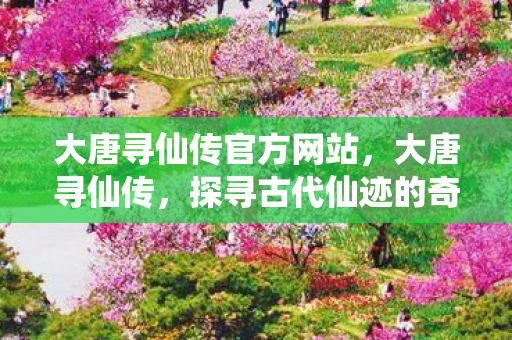 大唐寻仙传官方网站，大唐寻仙传，探寻古代仙迹的奇幻之旅
