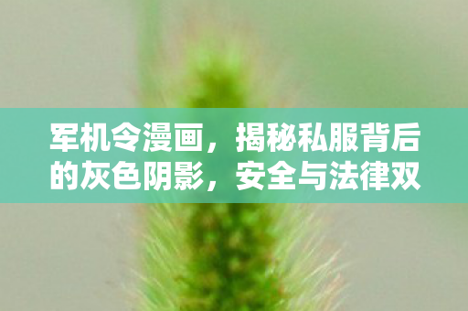 军机令漫画，揭秘私服背后的灰色阴影，安全与法律双重风险