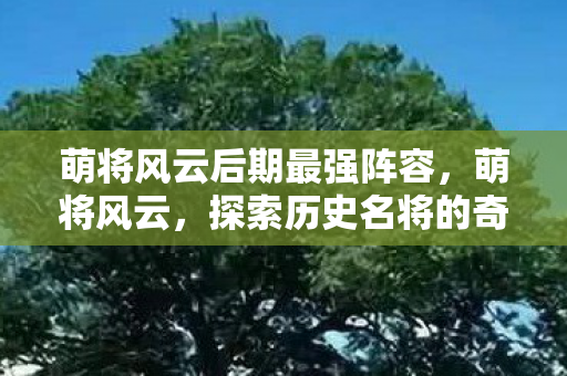 萌将风云后期最强阵容，萌将风云，探索历史名将的奇幻之旅