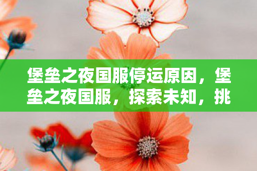 堡垒之夜国服停运原因，堡垒之夜国服，探索未知，挑战自我