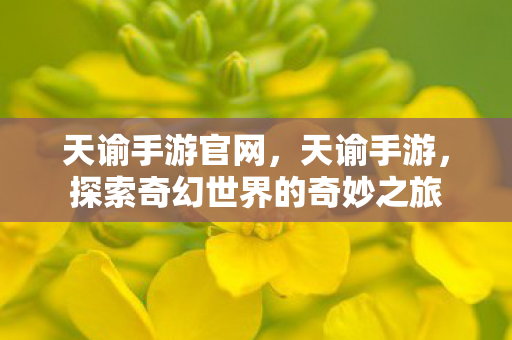 天谕手游官网，天谕手游，探索奇幻世界的奇妙之旅