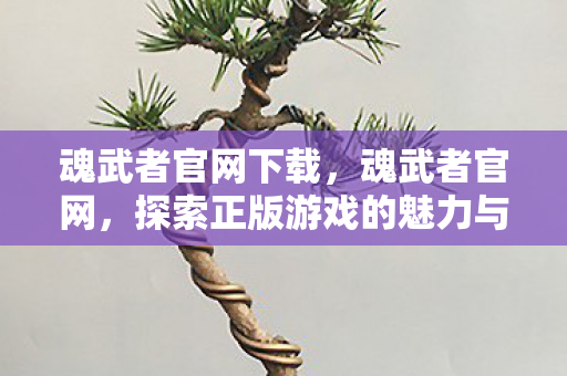 魂武者官网下载，魂武者官网，探索正版游戏的魅力与独特体验
