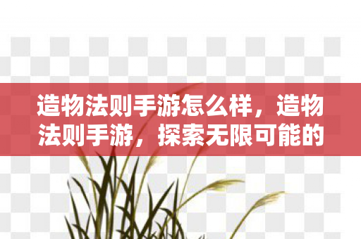 造物法则手游怎么样，造物法则手游，探索无限可能的奇幻世界