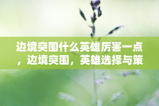 边境突围什么英雄厉害一点，边境突围，英雄选择与策略分析