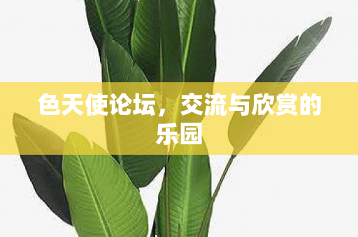 色天使论坛，交流与欣赏的乐园
