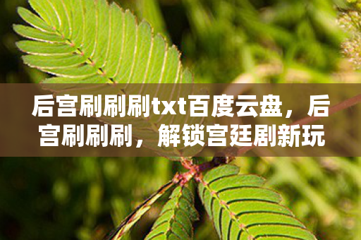 后宫刷刷刷txt百度云盘，后宫刷刷刷，解锁宫廷剧新玩法