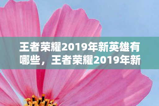 王者荣耀2019年新英雄有哪些，王者荣耀2019年新英雄，重塑战场格局的强者