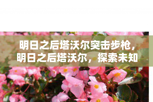 明日之后塔沃尔突击步枪，明日之后塔沃尔，探索未知世界的生存之旅