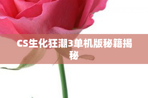 CS生化狂潮3单机版秘籍揭秘