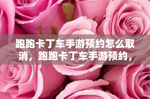 跑跑卡丁车手游预约怎么取消，跑跑卡丁车手游预约，重温经典，再燃激情