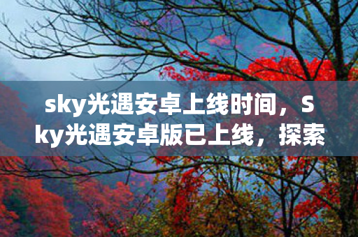 sky光遇安卓上线时间，Sky光遇安卓版已上线，探索奇妙世界的全新旅程