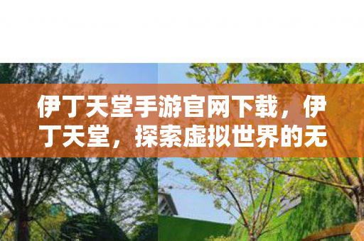 伊丁天堂手游官网下载，伊丁天堂，探索虚拟世界的无限可能