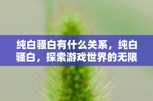 纯白骚白有什么关系，纯白骚白，探索游戏世界的无限可能