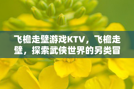 飞檐走壁游戏KTV，飞檐走壁，探索武侠世界的另类冒险