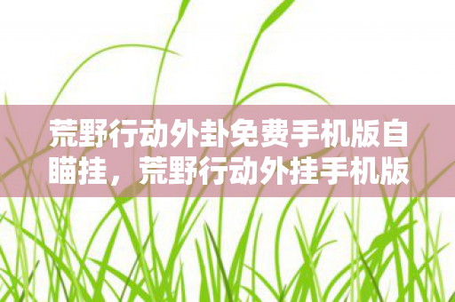 荒野行动外卦免费手机版自瞄挂，荒野行动外挂手机版的危害与防范