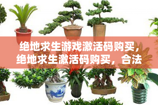 绝地求生游戏激活码购买，绝地求生激活码购买，合法途径与注意事项
