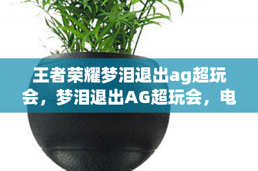 王者荣耀梦泪退出ag超玩会，梦泪退出AG超玩会，电竞传奇的落幕与新的开始
