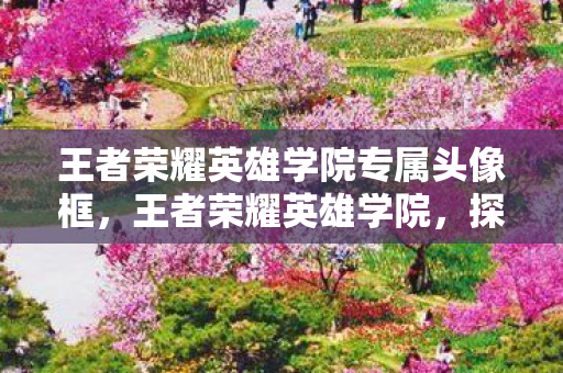 王者荣耀英雄学院专属头像框，王者荣耀英雄学院，探索英雄背后的故事与技能深度解析