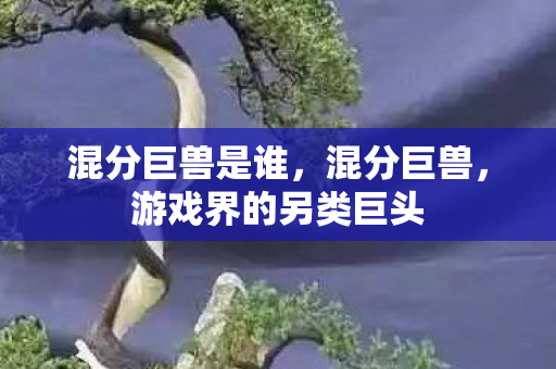 混分巨兽是谁，混分巨兽，游戏界的另类巨头
