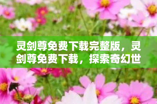 灵剑尊免费下载完整版，灵剑尊免费下载，探索奇幻世界的便捷之旅