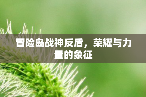 冒险岛战神反盾,荣耀与力量的象征 冒险岛战神反盾,荣耀与力量的象征