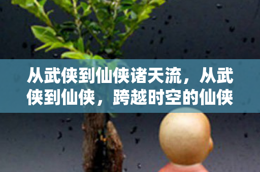 从武侠到仙侠诸天流，从武侠到仙侠，跨越时空的仙侠之旅