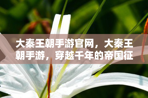 大秦王朝手游官网，大秦王朝手游，穿越千年的帝国征途