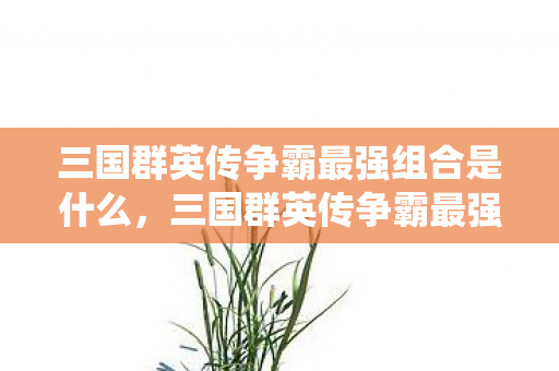 三国群英传争霸最强组合是什么，三国群英传争霸最强组合，智勇双全，一统天下的霸者之路