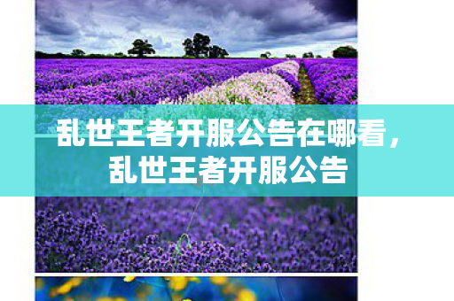 乱世王者开服公告在哪看，乱世王者开服公告