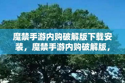 魔禁手游内购破解版下载安装，魔禁手游内购破解版，解锁无限可能的娱乐新体验