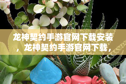 龙神契约手游官网下载安装，龙神契约手游官网下载，安全、便捷的游戏体验