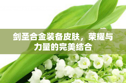 剑圣合金装备皮肤,荣耀与力量的完美结合 剑圣合金装备皮肤,荣耀与力量的完美结合