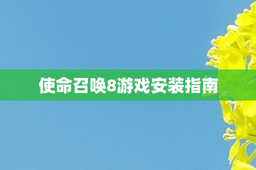 使命召唤8游戏安装指南