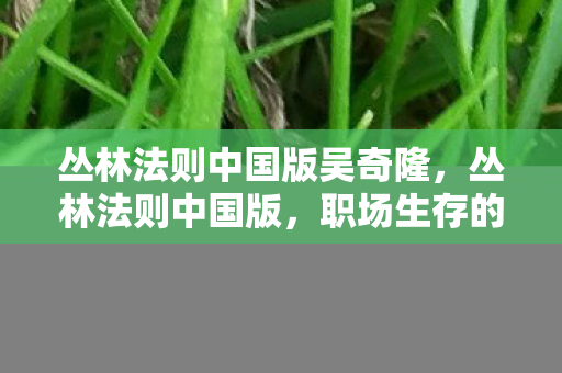 丛林法则中国版吴奇隆，丛林法则中国版，职场生存的艺术与智慧