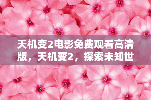 天机变2电影免费观看高清版，天机变2，探索未知世界的奇幻之旅
