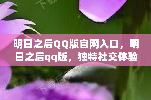 明日之后QQ版官网入口，明日之后qq版，独特社交体验与游戏融合的奇妙之旅