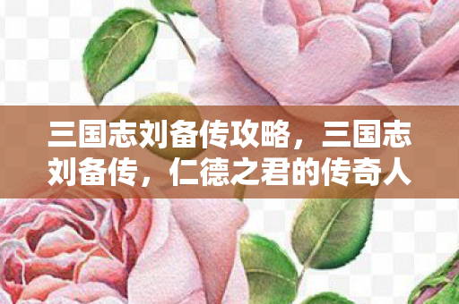 三国志刘备传攻略，三国志刘备传，仁德之君的传奇人生