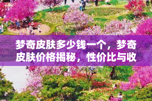 梦奇皮肤多少钱一个，梦奇皮肤价格揭秘，性价比与收藏价值的完美平衡